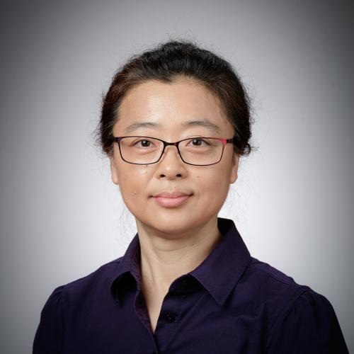 Dongmei Zhao