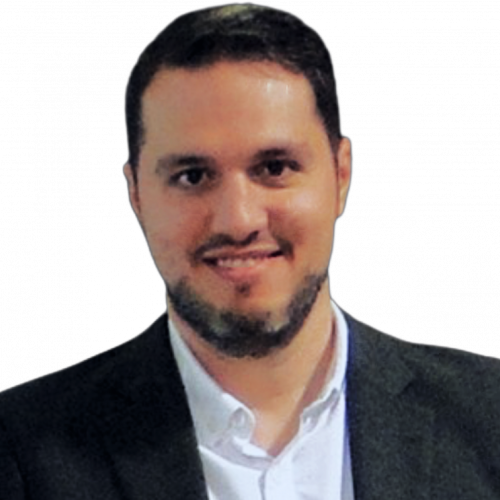 Andre L. F. de Almeida