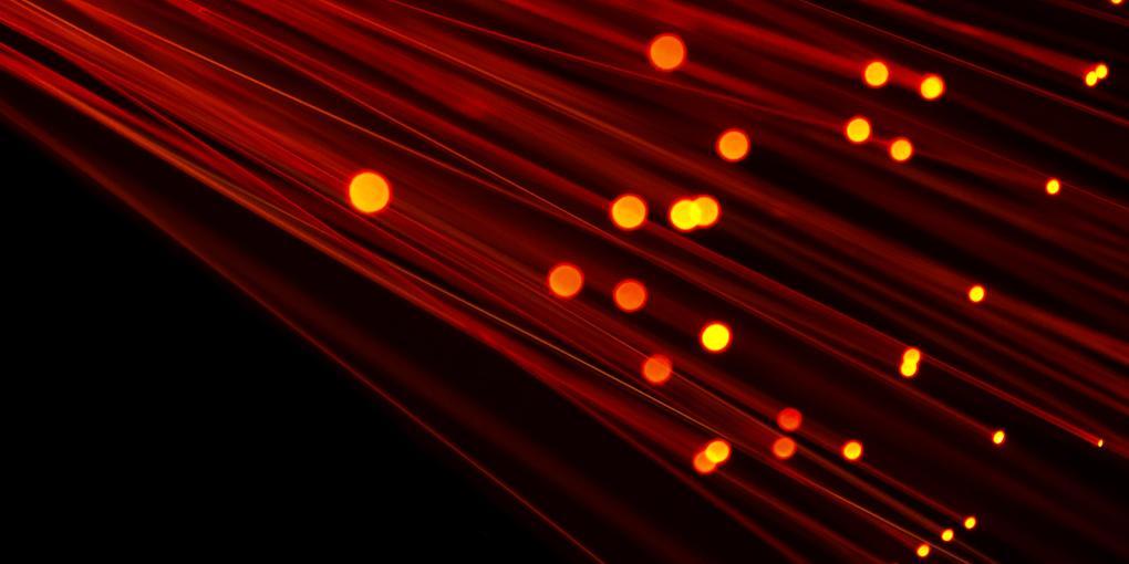 Fiber