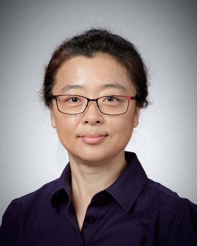 Dongmei Zhao