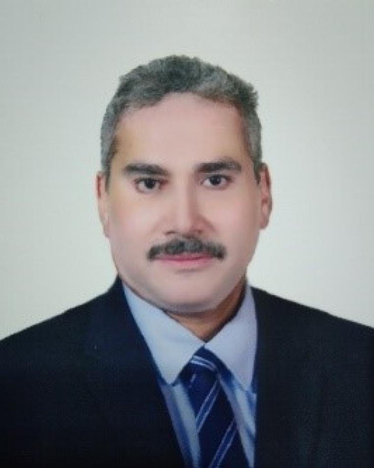 Hesham El-Badawy Hesham El-Badawy
