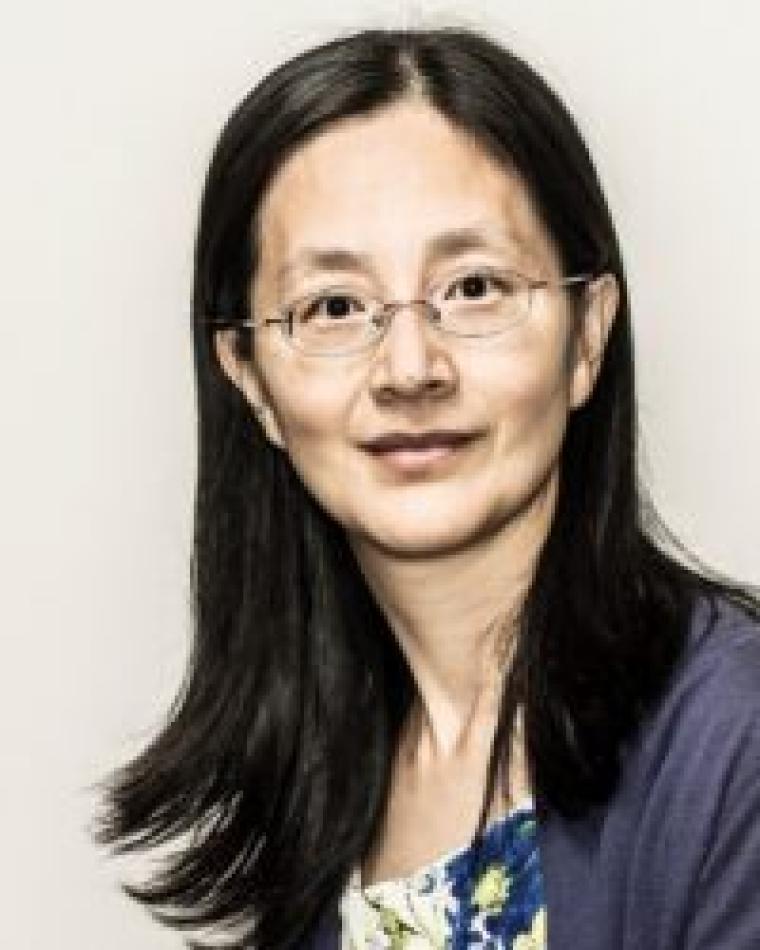 Ping Wang Ping Wang