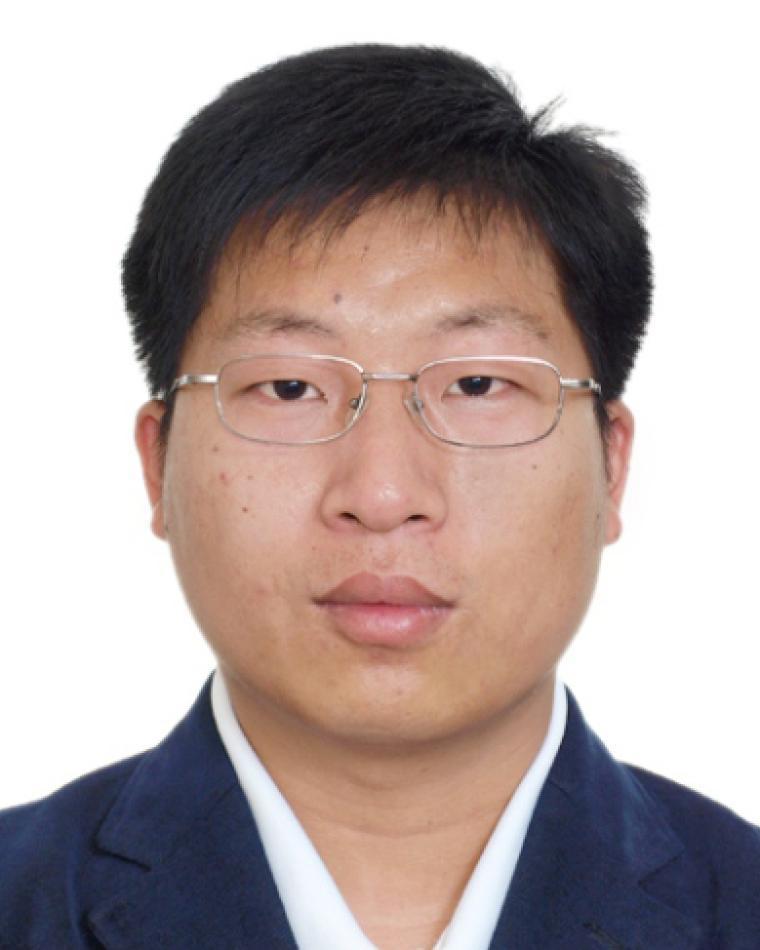 Wensong Wang